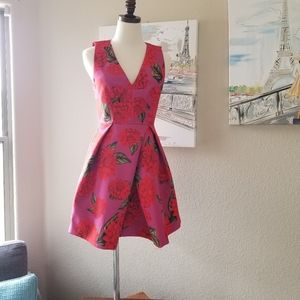 COPY - Keepsakes The Label Skater Dress Red Pink …